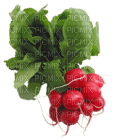 Kaz_Creations Vegetables - ücretsiz png