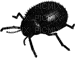 bug - Nemokamas animacinis gif