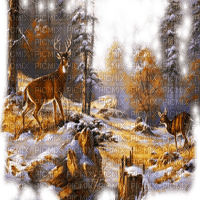 deer winter forest bg cerf forêt hiver fond