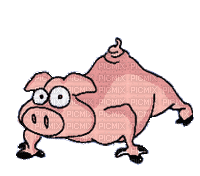 pig - GIF animado gratis