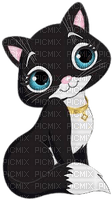 black and white  cat - ücretsiz png
