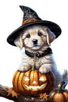 oly33 chien automne halloween - gratis png