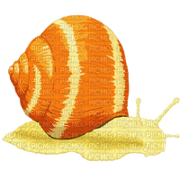Kaz_Creations Cartoon Snails - PNG gratuit
