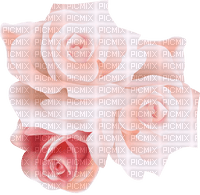 Roses  Bb2 - nemokama png