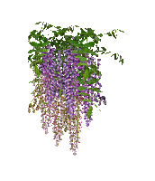purple flower branch gif violet fleur branche - Nemokamas animacinis gif