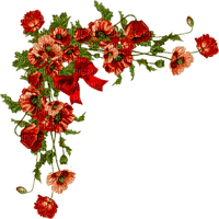 red flowers poppies corner, sunshine3 - Free PNG