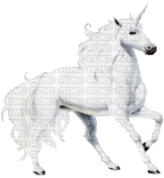 licorne - Ücretsiz animasyonlu GIF