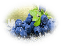 blueberries bp - darmowe png