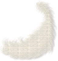 plume - Free PNG