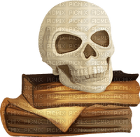Halloween. Books. Skull. Leila - ilmainen png
