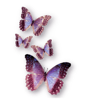 papillon violet.Cheyenne63 - png gratuito