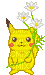 pikachu holding white flowers - GIF animado gratis