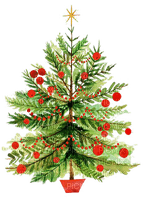 Christmas tree Bb2 - zdarma png