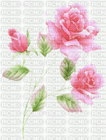 roses roses 1 - GIF animé gratuit