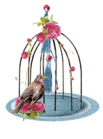 bird cage pink flowers rose roses kikkapink - kostenlos png