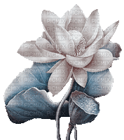 soave deco  animated   lilies blue brown - Free animated GIF