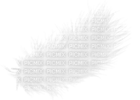 white feather - nemokama png