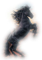 Cheval ** - Free PNG