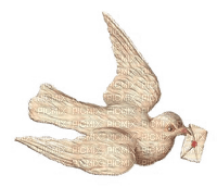messenger dove painting - PNG gratuit