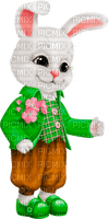 st. Patrick hare  by nataliplus - Free PNG