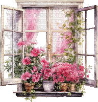 ♥❀❀❀❀ sm3 flowers spring window gif pink - Free animated GIF