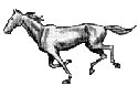 cheval blanc gris qui coure - Бесплатный анимированный гифка