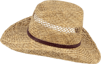 sombrero - png gratis