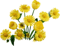 kikkapink deco yellow flowers daisy tulip - zdarma png