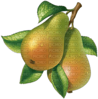 pears Bb2 - png gratis