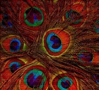Kaz_Creations Deco Peacock Backgrounds Background - бесплатно png