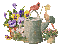 Bloemen en Planten - Безплатен анимиран GIF