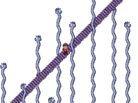 yume nikki staircase of hands - 免费PNG