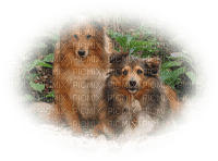 patymirabelle chien - PNG gratuit