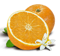 Orange with Blossom - ilmainen png