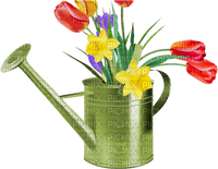tulips Bb2 - PNG gratuit