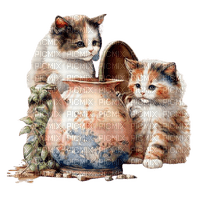 loly33 chat chaton - PNG gratuit