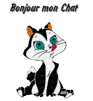 bonjour mon chat - Bezmaksas animēts GIF