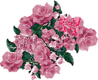 Fleurs colorées. - Free animated GIF