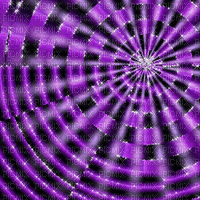 Purple Web