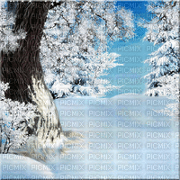kikkapink animated winter forest tree background - GIF animate gratis