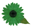 Green Flower - png gratuito