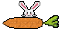 bunny eating carrot - GIF animado grátis