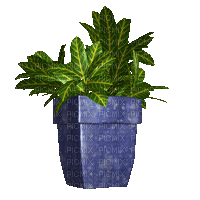 Bloemen en planten - 無料のアニメーション GIF