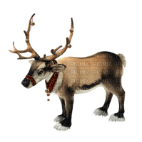 Kaz_Creations  Christmas Deco Reindeer - PNG gratuit