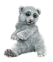 bär bear milla1959 - Ücretsiz animasyonlu GIF