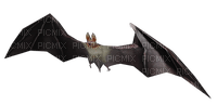 bat - безплатен png