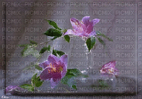 ani-bg-grå-blommor - Darmowy animowany GIF