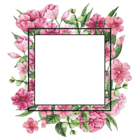 pink flower frame cadre pink fleur