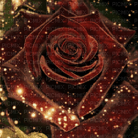 Background rose - Gratis animeret GIF