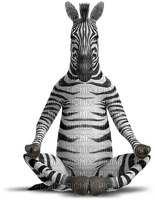 zebra bp - darmowe png